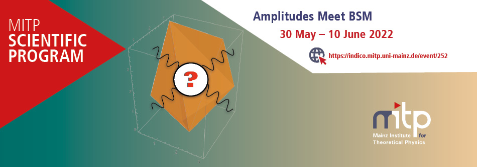 Amplitudes Meet BSM