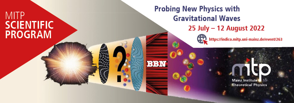 Probing New Physics with Gravitational Waves