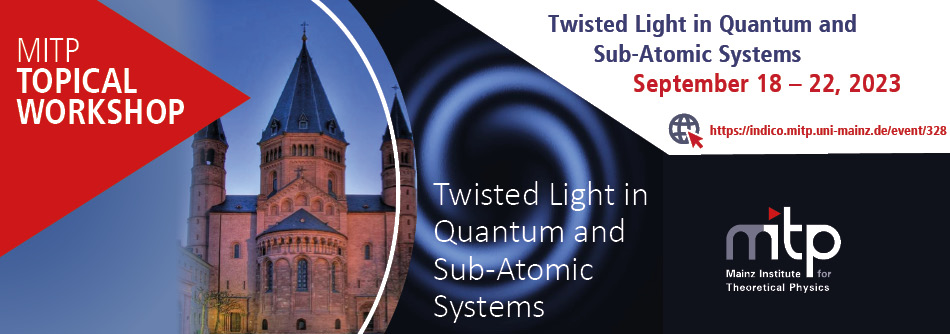 Twisted Light in Quantum and Sub-Atomic Systems