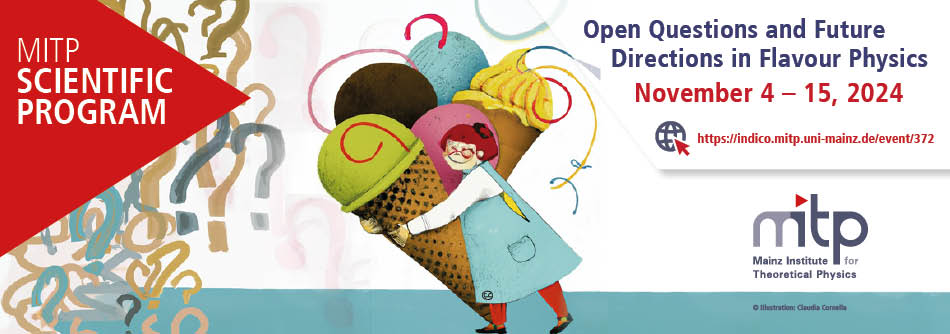 Open Questions and Future Directions in Flavour Physics