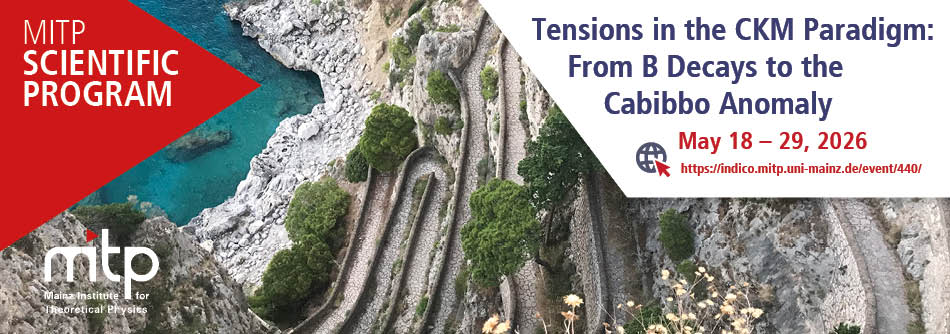 Tensions in the CKM Paradigm: From B Decays to the Cabibbo Anomaly