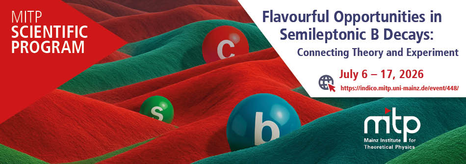 Flavourful Opportunities in Semileptonic B Decays: Connecting Theory and Experiment