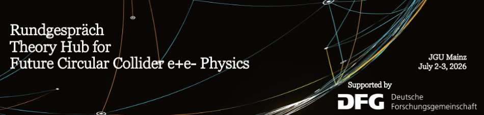 Rundgespräch: Theory Hub for Future Circular Collider e+e- Physics