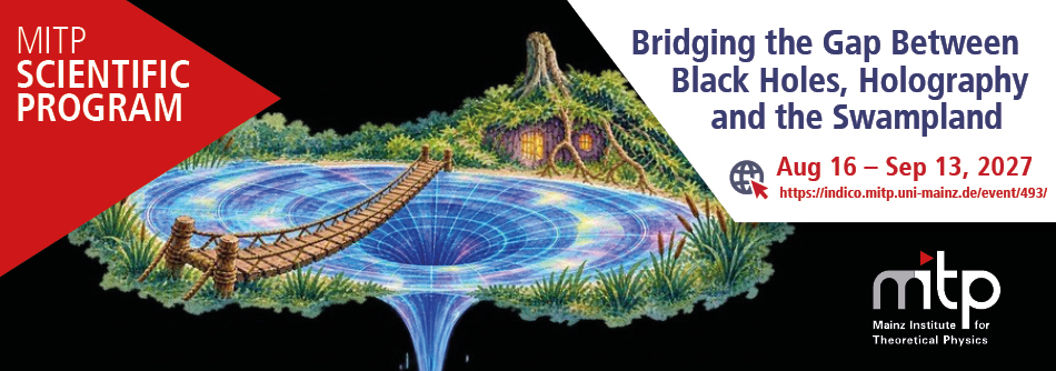 Bridging the Gap Between Black Holes, Holography and the Swampland